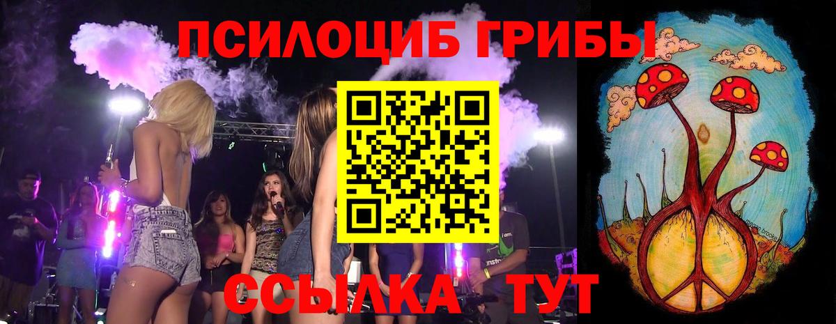 Галлюциногенные грибы ЛСД  Псилоцибиновые грибы MAGIC MUSHROOMS  Вход с VPN  купить  цена  Скопин 